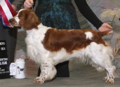 Dibbins WB BOS 11-7-15 cropped