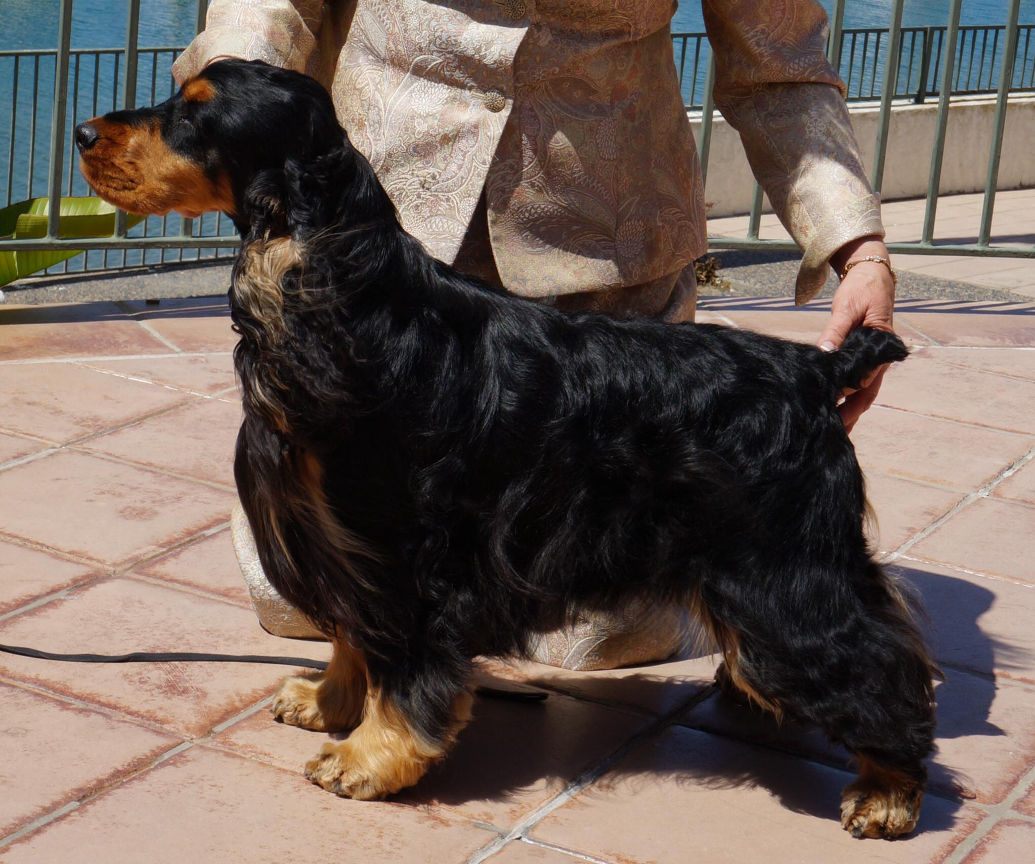 Justin CH Dawnglow Justice.jpg