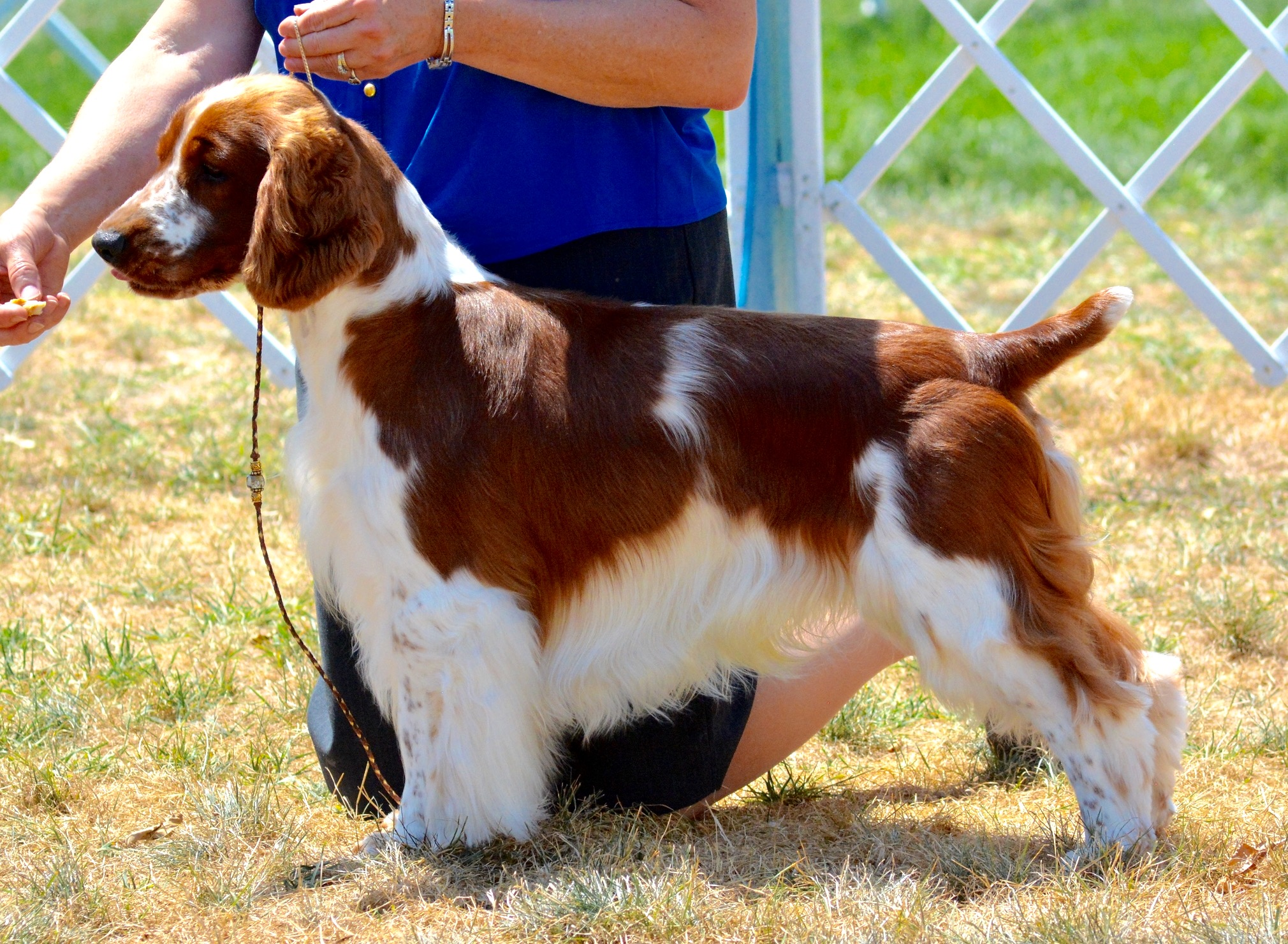 WD at the regional specialty.png