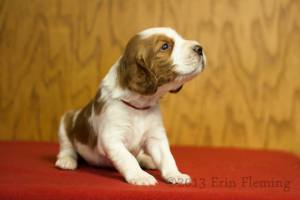 1441530_10201881950442998_1656737329_n