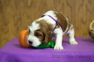 1450250_10201881967923435_1601514211_n