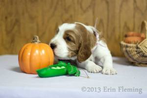 1459811_10201881935602627_1531150341_n