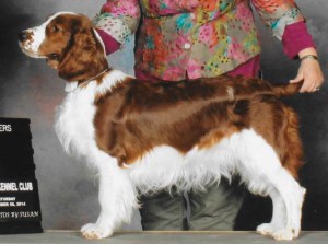 WINNIE - Fox River Sweet Solitude 