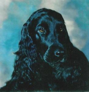 Rose head shot adjusted