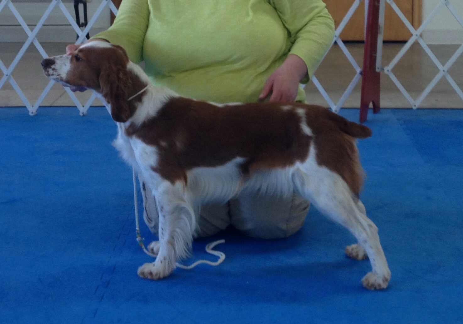 Saylor Jan 2016 1year