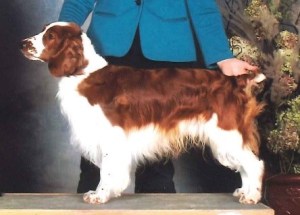 SULLY - Fox River Sullivan Mind Your Pease And Cues