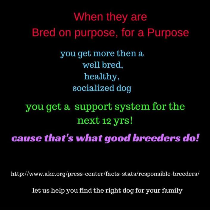 what-good-breeders-do