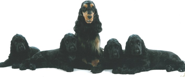 black&amp;white @ 12 weeks