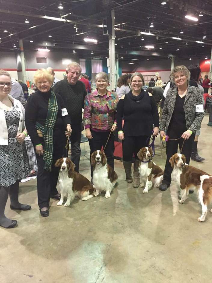 Rosemont Shows Dec 2017