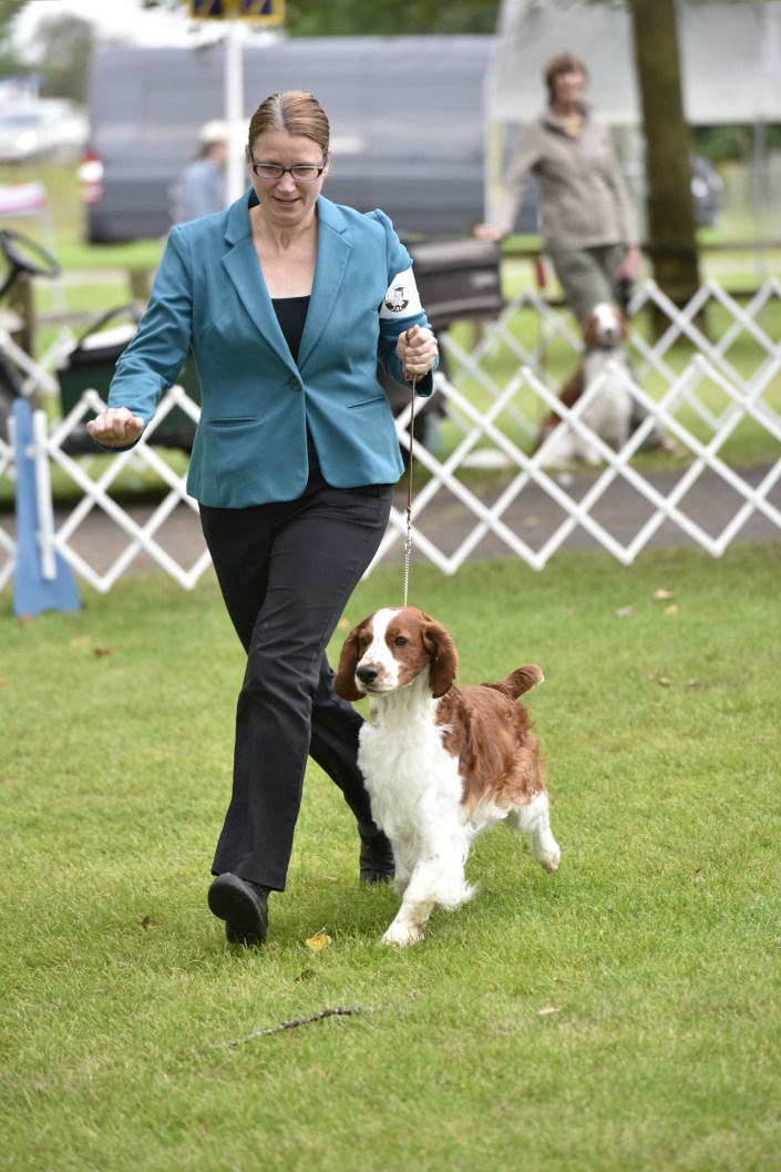 Lake Elmo Heartland supported entry August 27 2016