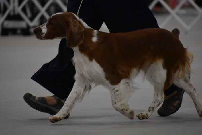 Regional at St. Louis Sept 2018