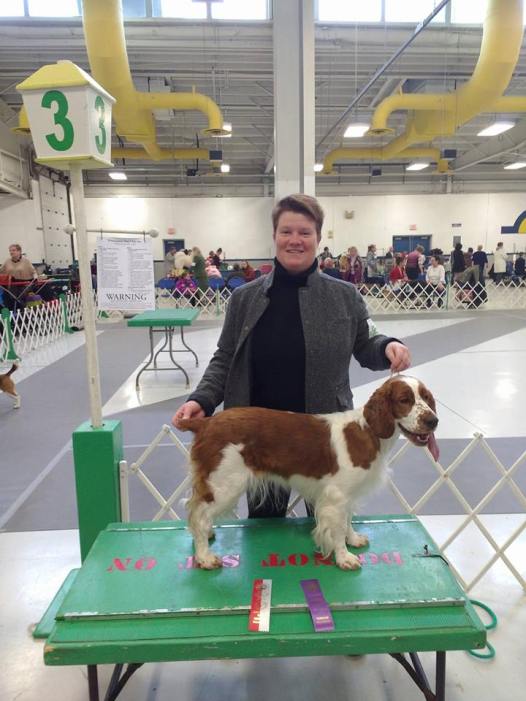 dragons first major january 2019