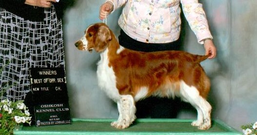 Breed CH MAY 2019