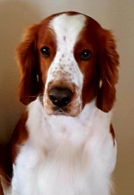 75418144_418972812124854_1643588008840003584_n