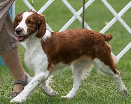 Tilly Lake Elmo August 28 2021
