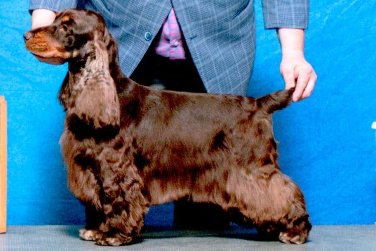 This image has an empty alt attribute; its file name is first-major-1-3743070951-e1683951871567.jpg